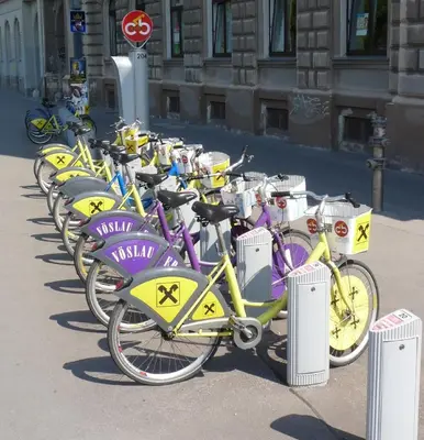Radfahren an der Unterkunft Ferienwohnung Marie oder in der Nähe
