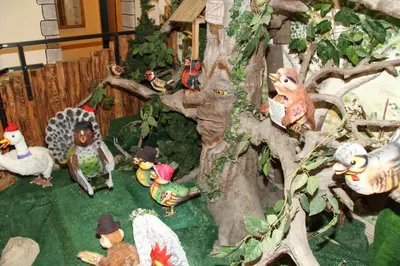 Tiere im Hotel oder in der Nähe
