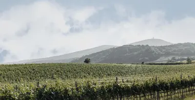 Ein allgemeiner Bergblick oder ein Berglick von der Pension aus