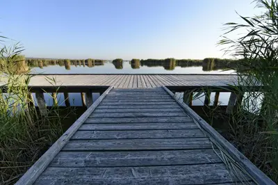 Naturlandschaft in der Nähe der Ferienwohnung