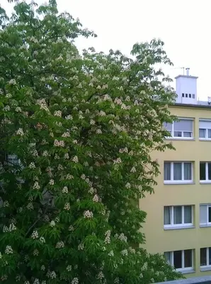 Das Gebäude in dem sich das Hostel befindet