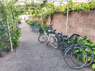 Radfahren an der Unterkunft Frühstückspension See-Panorama oder in der Nähe