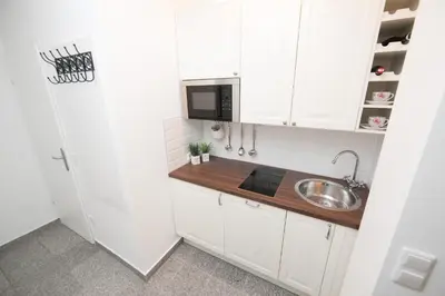 Küche/Küchenzeile in der Unterkunft Traditional Apartments Vienna TAV - Entire