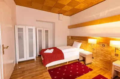 Ein Bett oder Betten in einem Zimmer der Unterkunft Hallo Vienna suite Apartment Nr 9