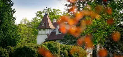 Ein Garten an der Unterkunft Schloss Schönau