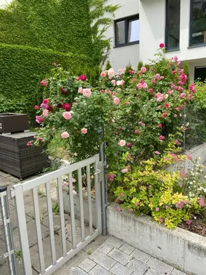 Ein Garten an der Unterkunft Sweet Home Vienna Townhouse