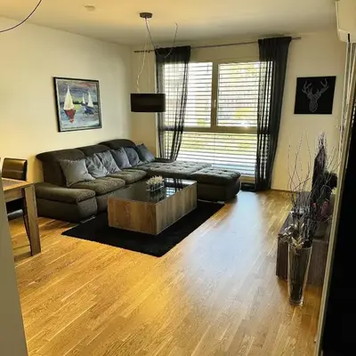 Brand New Apartment