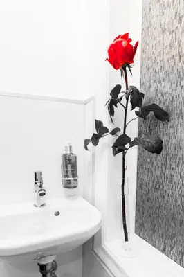 Ein Badezimmer in der Unterkunft Sophies Place Augarten - Imperial Lifestyle City Apartments Vienna Parking