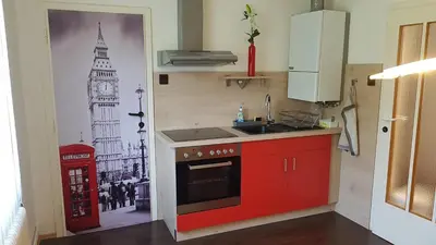 Küche/Küchenzeile in der Unterkunft Garden Apartment Donau-City (P&R)