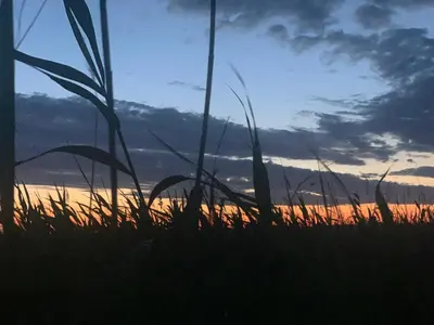 Blick auf den Sonnenuntergang/Sonnenaufgang von des Ferienhauses aus oder aus der Nähe