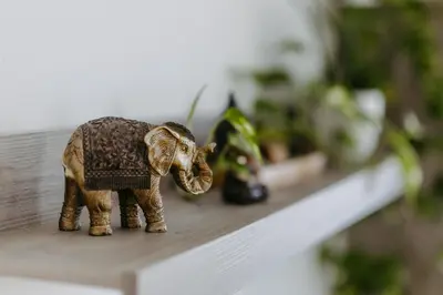 Tiere in der Ferienwohnung oder in der Nähe