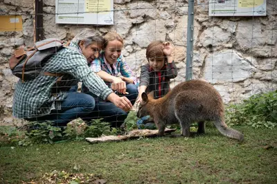 Tiere im Motel oder in der Nähe
