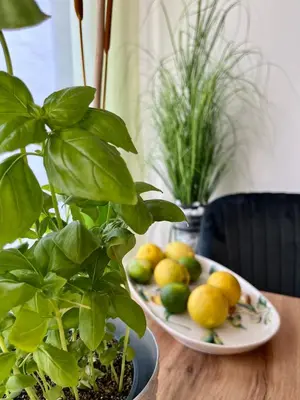 Essen in der Ferienwohnung oder in der Nähe