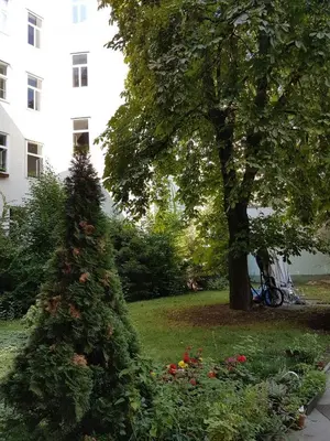 Ein Garten an der Unterkunft Newly-Renovated, Central City Apartment in the Heart of Vienna