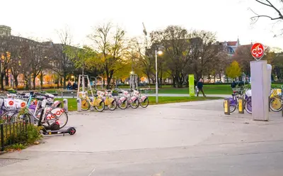 Radfahren an der Unterkunft Highlight Suite Universitaet Wien oder in der Nähe
