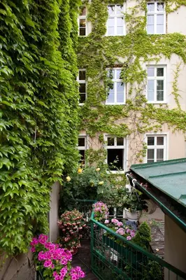 Ein Garten an der Unterkunft Hotel Schwalbe