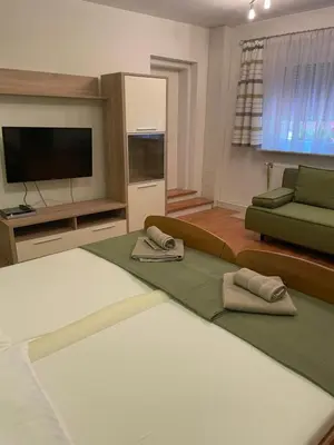TV/Unterhaltungsangebot in der Unterkunft Apartment im Herzen von Neusiedl am See
