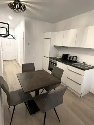 Küche/Küchenzeile in der Unterkunft easy-flat Hyrtlgasse - Comfortable Value Apartments