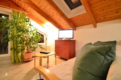 TV/Unterhaltungsangebot in der Unterkunft AJO Apartments - Alte Donau Lake View Penthouse - Self-Check-in