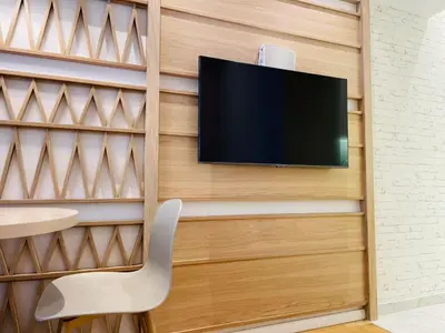 TV/Unterhaltungsangebot in der Unterkunft ZEUS DESIGN Compact City Aparmtent
