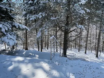Ferienhaus in Niederösterreich mit 3 Apartments mitten im Wald im Winter