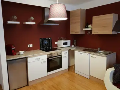 Küche/Küchenzeile in der Unterkunft BullsLiving Kaisermühlen Apartment Erni next to UNO City