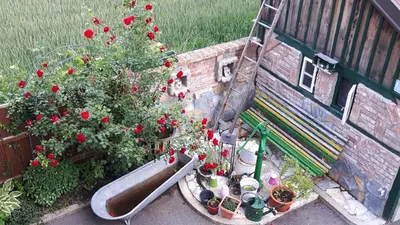 Ein Garten an der Unterkunft Gästezimmer Victoria