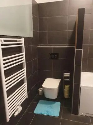 Ein Badezimmer in der Unterkunft Mareli Neusiedler Stadthaus