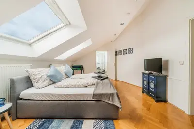 TV/Unterhaltungsangebot in der Unterkunft Penthouse apartment - Sauna - Terrasse - Kamin - AC