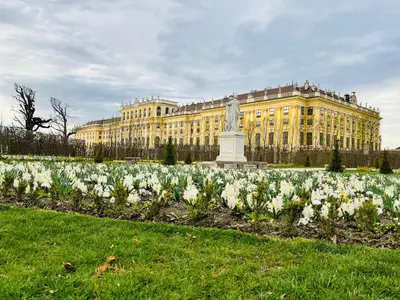 Ein Garten an der Unterkunft Lovely nest! Just beside SCHÖNBRUNN PALACE and ZOO!