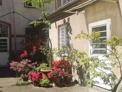 Ein Garten an der Unterkunft Das Kleine Haus - Vintage-Apartment im Innenhof