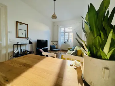 TV/Unterhaltungsangebot in der Unterkunft Altbauschatz am Alsergrund, Nähe Innere Stadt