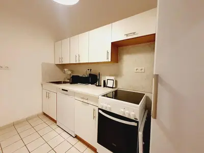 Küche/Küchenzeile in der Unterkunft Savoir Vivre Apartments Rueppgasse