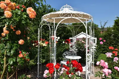 Ein Garten an der Unterkunft Landhaus Rust