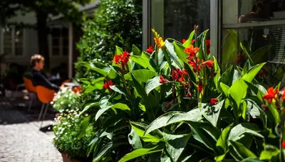 Ein Garten an der Unterkunft Schlossquadrat Apartment 12