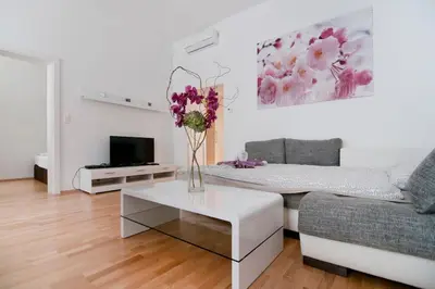 TV/Unterhaltungsangebot in der Unterkunft Central Apartment Vienna City Center