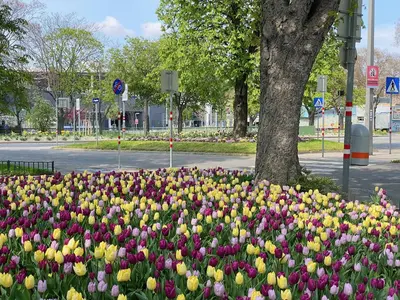 Ein Garten an der Unterkunft Magic Vienna right next to the Prater!